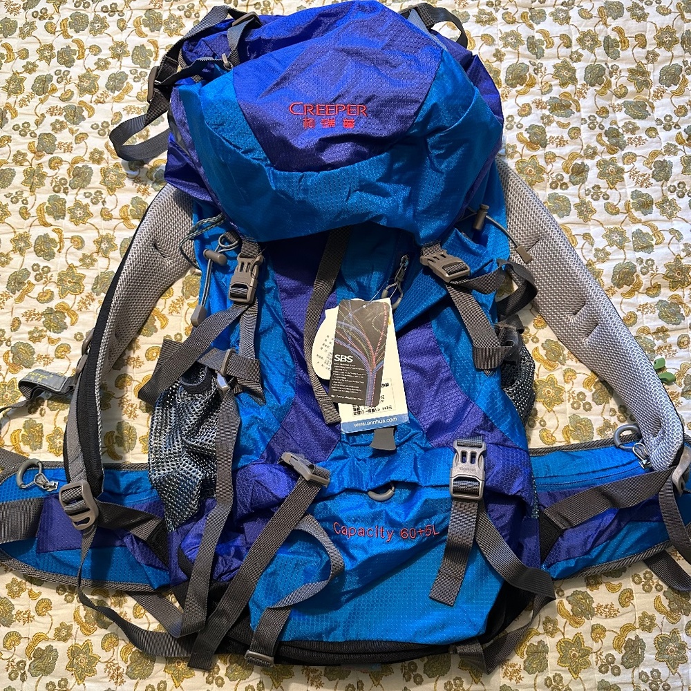 Backpacking pack